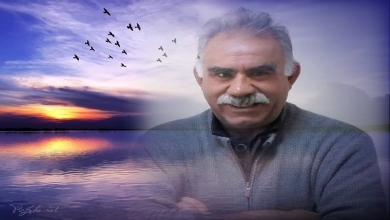 حرية القائد ابو هو واجب